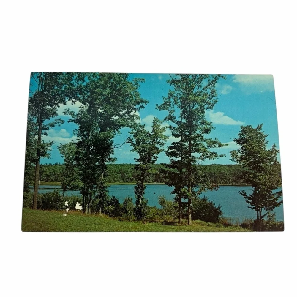 Vintage Upper Greenwood Lake NJ Postcard - Scenic Summer Landscape